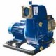 Motopompes centrifuges (Mise en groupe CPI)