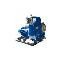 Motopompes centrifuges (Mise en groupe CPI)