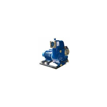 Motopompes centrifuges (Mise en groupe CPI)